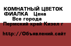 КОМНАТНЫЙ ЦВЕТОК -ФИАЛКА › Цена ­ 1 500 - Все города  »    . Пермский край,Кизел г.